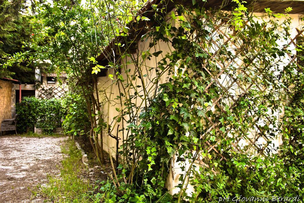 Albarosa Bed & Breakfast Ruvo di Puglia Exterior foto